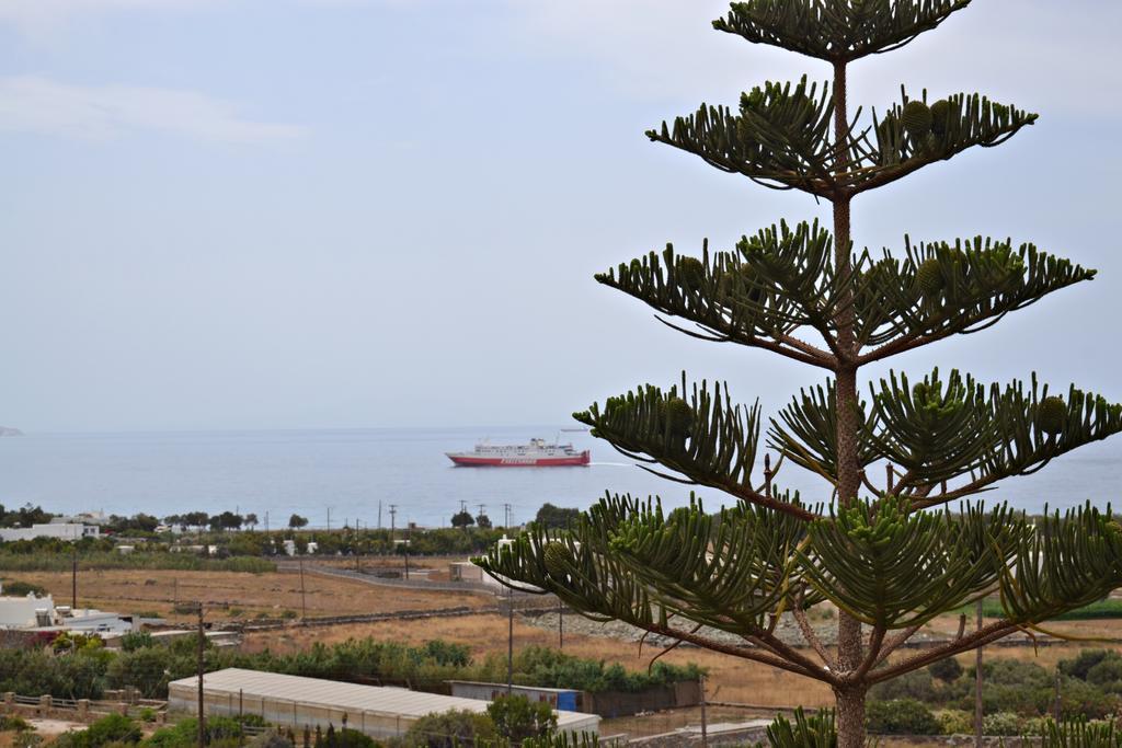 Stelios Zalonis Apartments Tinos Luaran gambar