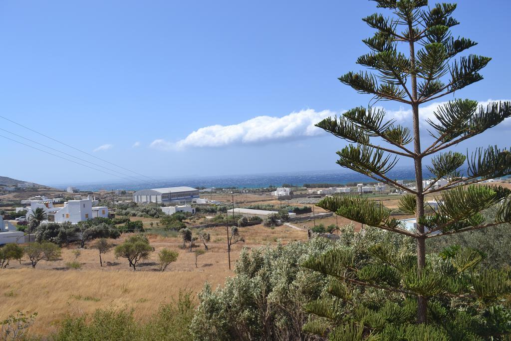Stelios Zalonis Apartments Tinos Luaran gambar