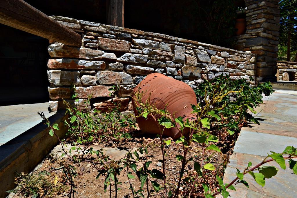 Stelios Zalonis Apartments Tinos Luaran gambar